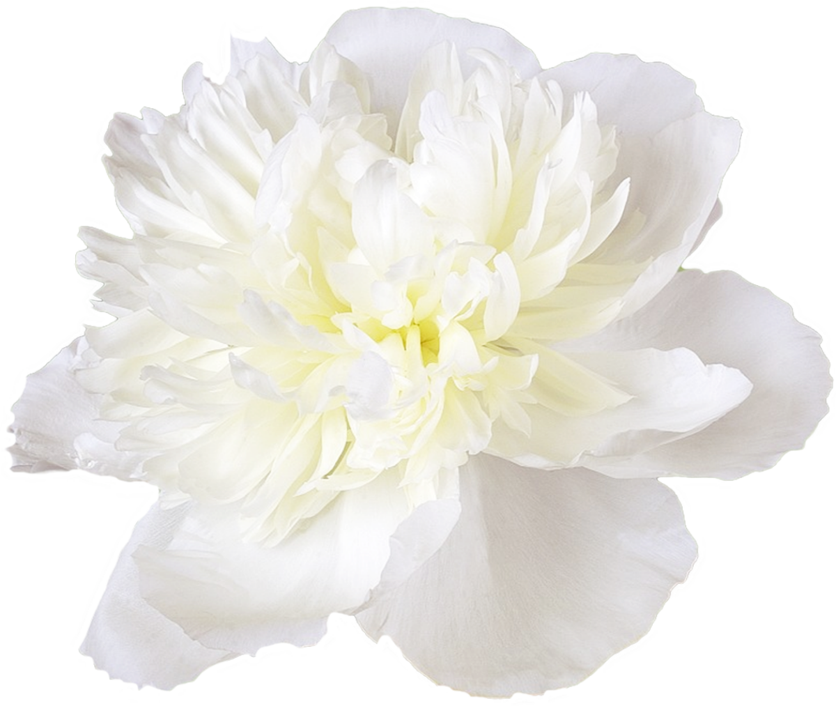 Duchesse de Nemours