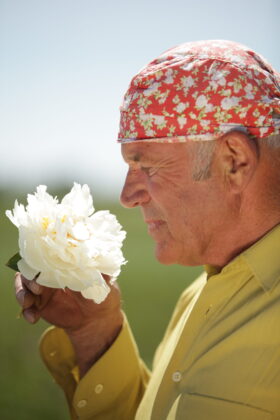 Smell peony