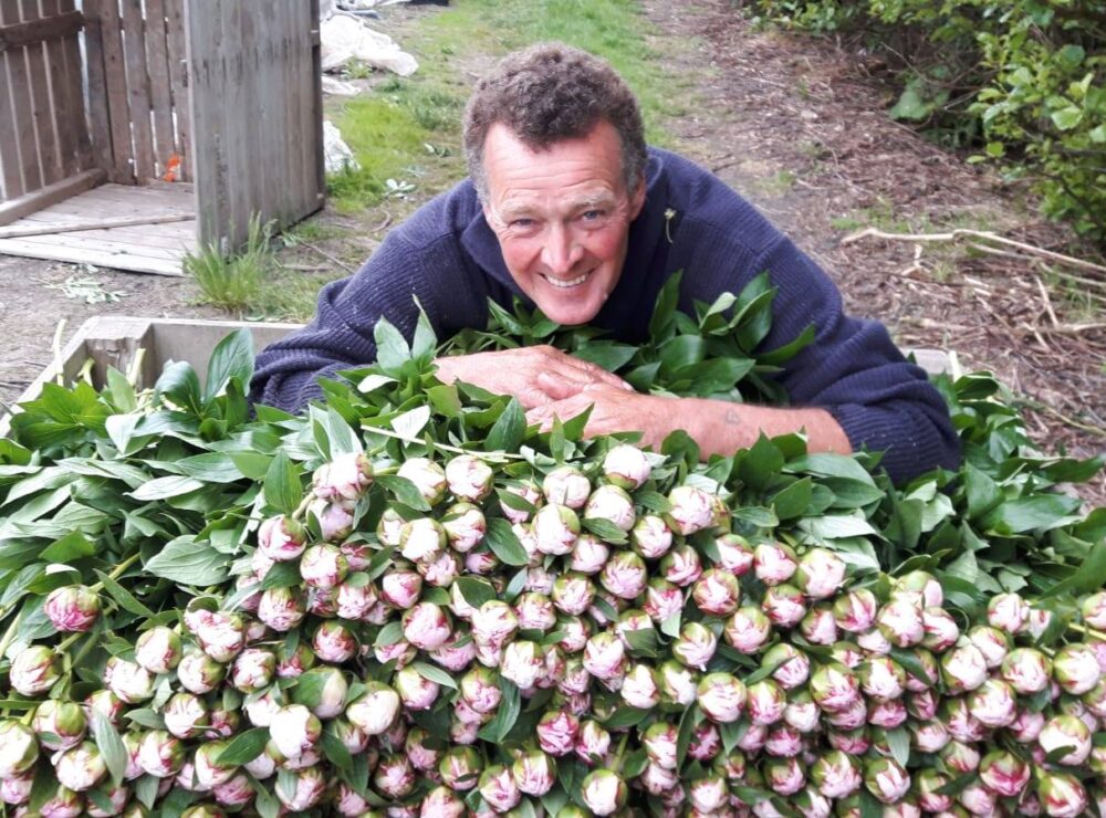 My Peony Society Co Knol