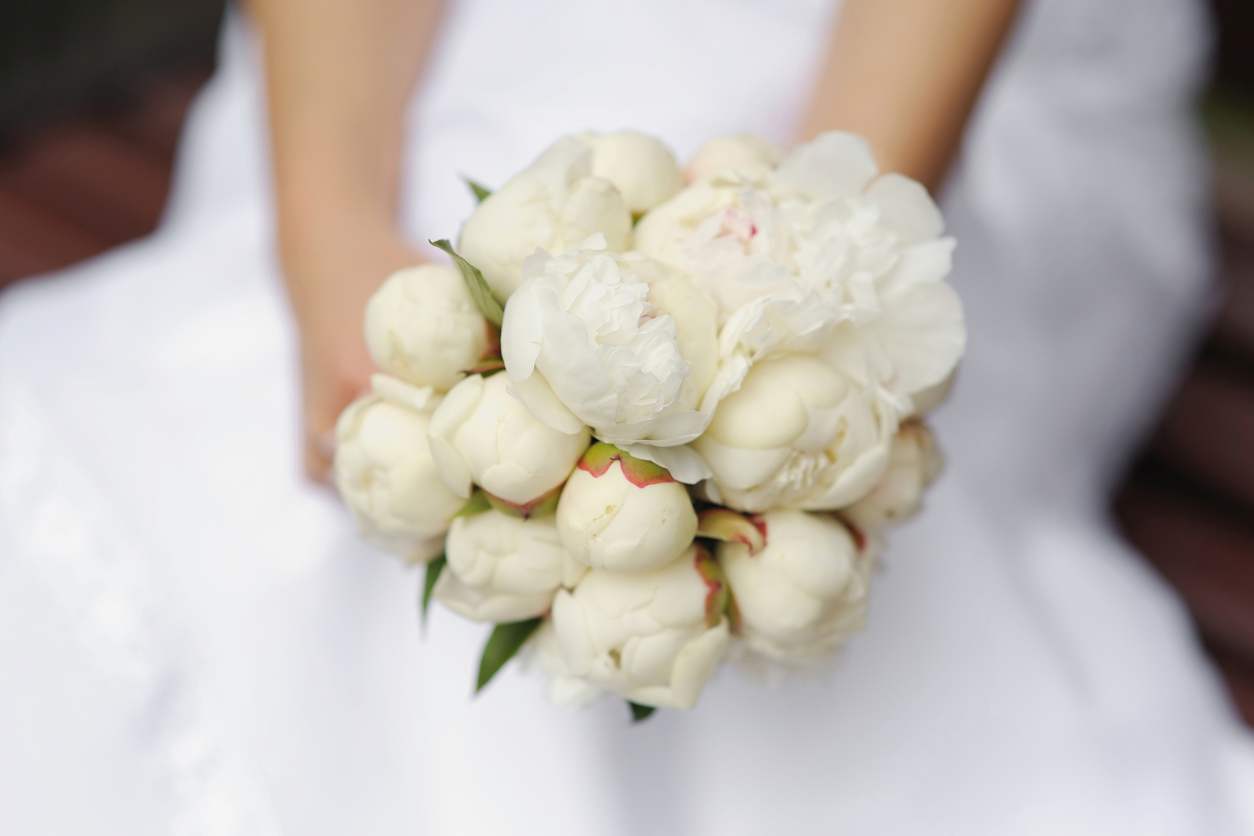 Gouverneur buste noedels Bruidsbloemen-trend: plukboeket mét pioenen - Verhalen over pioenrozen - My  Peony Society