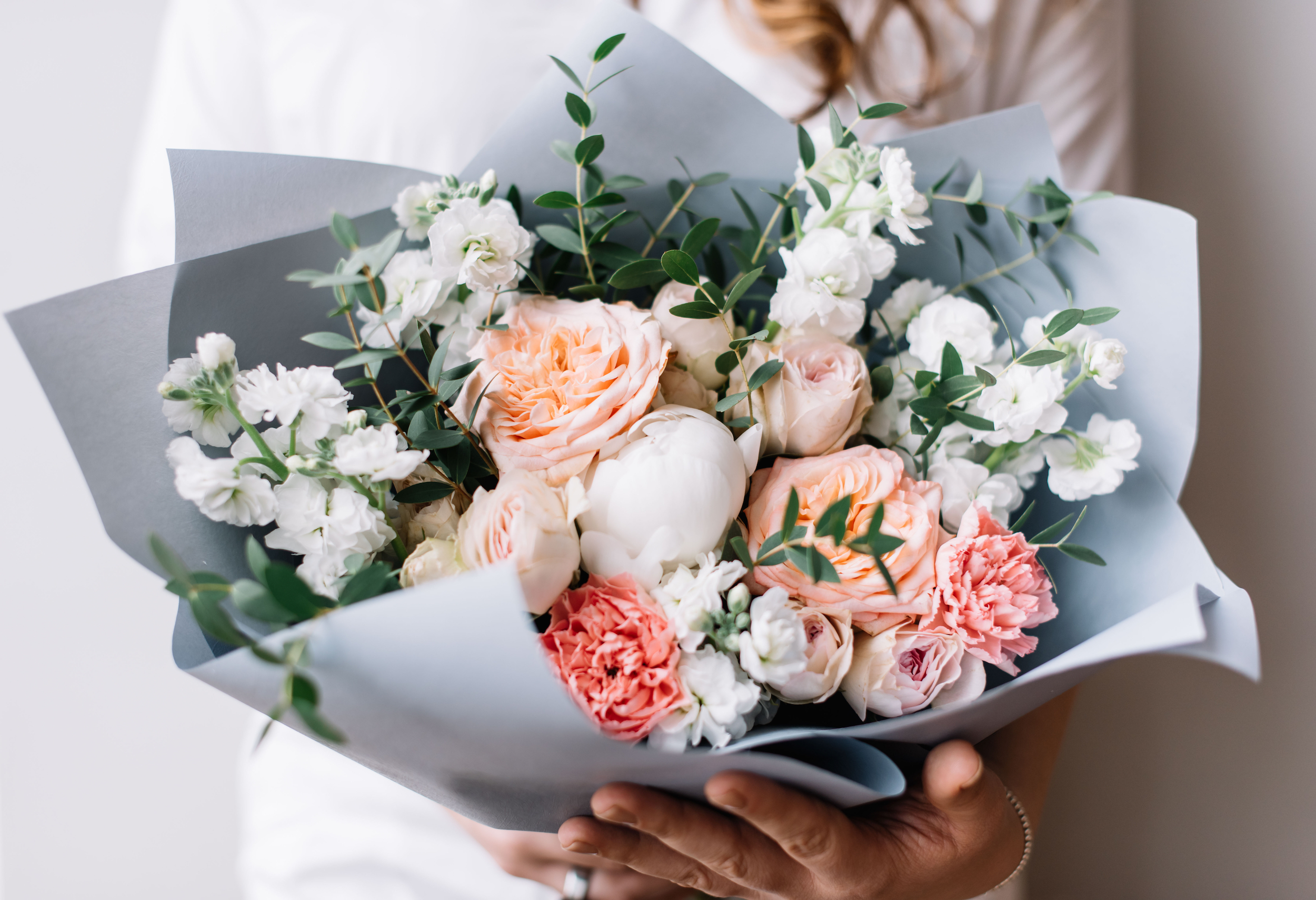 de begeleiding Ongewijzigd Baleinwalvis 10 redenen om pioenen te kopen! - Verhalen over pioenrozen - My Peony  Society