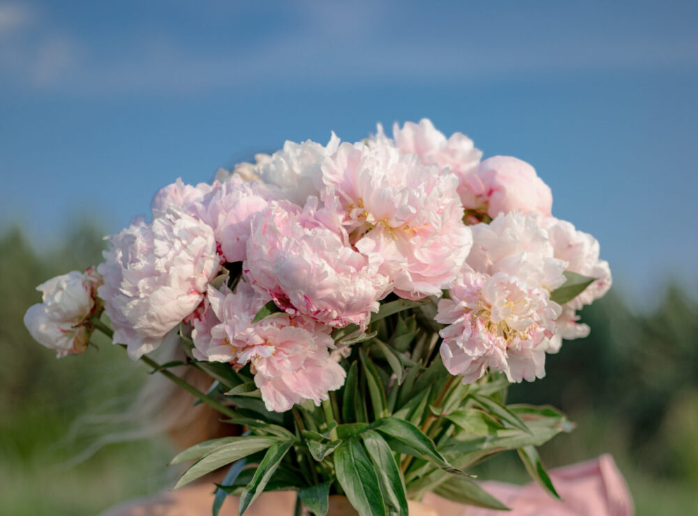 A meaningful gesture on women’s day